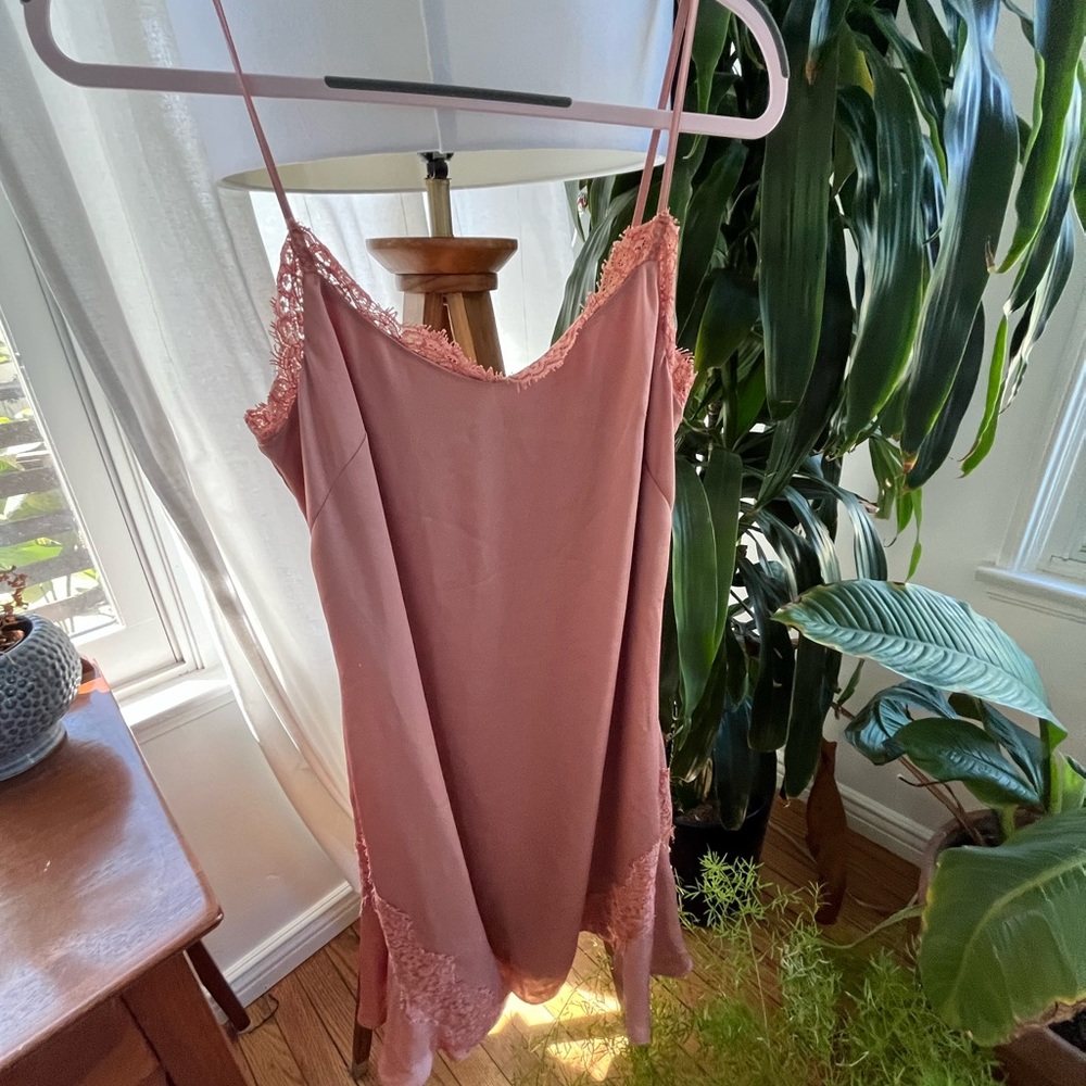 Banana Republic Pink Silk Slip Lace Trim